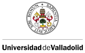Access to the website University of Valladolid